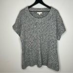 Coldwater Creek  Grey Short Sleeve Sweater Size 2X Photo 0