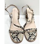 Halston Heritage Snakeskin Block Heel Sandals Ankle Strap Open Toe Size 10 Photo 4