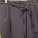 Lush Clothing NWOT LUSH Blue Dress Pant Photo 1