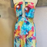 Lulus NWOT  Stunning One Multi Abstract Print Drawstring Halter Maxi Dress Photo 2