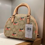 Coach Sydney Satchel In Signature Canvas With Strawberry Print CB596 NWT Photo 2