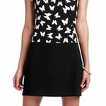 Loft Ann Taylor  womens size 12 butterfly kiss short sleeve dress Photo 0