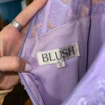 Blush Prom  Dress Photo 4