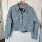 American Eagle NEW! Pinstriped Denim Cropped Jacket Size L Photo 0