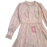 NWT Ivy City Co Last Songbird in Pink Floral Tulle Maxi Dress XS Photo 2