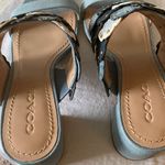 Coach : Blue Mae (G3689) Mule  Sandals- Tea Rose Appliqué- 9 Photo 15
