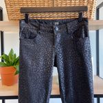 David Kahn Subtle Leopard Black Jean, 27 Photo 1