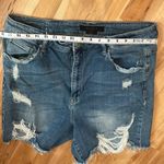 Risen  Jean Short Denim Shorts 2X Photo 2