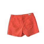 Juicy Couture  Pink Cuffed Shorts Size 12 Photo 5