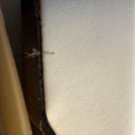 Easy Street  White Shoe Size 9 N Photo 5