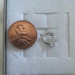 Helix Earring Photo 1