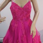 Fifteen Roses ball gown Pink Size 10 Photo 1