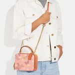 Coach  Goldshell Pink Multi Box Crossbody Handbag With Butterflies Photo 2