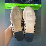 Sam Edelman Felicia Leopard Flat Size 7 Photo 5