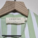 Anthropologie The Rhea Mini Shirt Dress by Exquise Large Green Bone Stripe Sz S Photo 6
