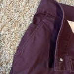 The North Face Motion XD Root Brown Dark Purple Ankle Chino Pants in Size 10 Photo 3