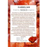 925 Sterling Silver Carnelian Gemstone With Holder Necklace Womens Jewelry Orange Photo 1