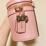 Coach Selena Trail Bag crossbody 39293 Photo 3