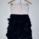 Alice + Olivia  Black and White Silk Blend Ruffle Skirt Mini Dress Size 2 Photo 0