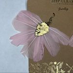 Shiraleah  CHICAGO Chantae Pink Feather Earrings Boho Dangle Hoops NWT Photo 2