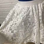 Forever 21 Lace Skirt Photo 1