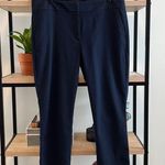 Loft  Marisa Skinny Velveteen Polka Dot Mid-Rise Dress Pant Trouser, 12 Photo 0