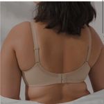 Soma Stunning Support Balconette Lace Full Coverage Figure Underwire Bra 38DD Photo 1