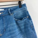 Loft  Ann Taylor Jeans Girlfriend SZ 29/8 Cotton Stretch Mid Indigo Wash Curvy Photo 9