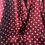 ZARA  Polka Dot Dress Photo 8