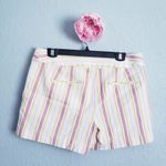 Loft Multicolor Striped Cotton Riviera Shorts Photo 3