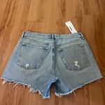 AGOLDE  Parker Long Short in the "Skywave" Wash Size 30 Photo 1
