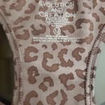 Evolution and creation  TOP Photo 2