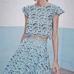 Alexis Tovi Sheer Lace Cropped Top Photo 1