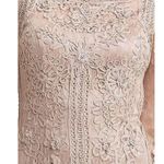 Sue Wong Blush Pink Lace Bodycon Cocktail Dress Size 8 Photo 2