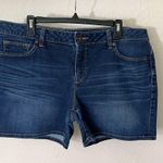 STYLUS Dark Blue Jean Shorts Size undefined Photo 0