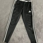 Adidas Trackpants Photo 1