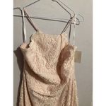 Dessy Group Halter Criss Cross Open Back Lace Trumpet Gown Blush Size 18 Photo 6