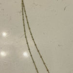 Kendra Scott  Necklace  Photo 0