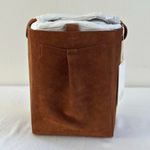 Everlane The Mini Studio Bag in Russet Photo 3