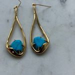 Alexis Bittar NWOT  earrings Photo 1