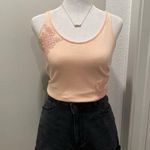 Jenny Yoo NWT Light Pink Cropped Sweater Tank Top Blouse - S Photo 2