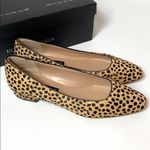 Steven By Steve Madden Steve Madden Bantry cheetah calf hair flats Photo 1