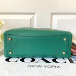Coach Mini Lillie Carryall With Diary Embroidery C8364 Photo 5