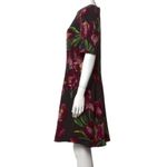 Dolce & Gabbana NWOT  tulip print wool dress Photo 4