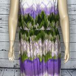 Dress Barn  Woman Size 16 Purple & Green Chevron Stripe High-Neckline Maxi Dress Photo 2