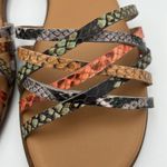 Madewell | NWOB | Tracie Crisscross Sandal | Snake Embossed Leather | Size 5 1/2 Photo 4