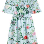 H&M  Floral Smocking Decorative Flounce Short Sleeve Elastic Flared Dress 6 Photo 0