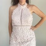 Bardot “Gemma” Lace Open Back Sheath Halter Dress blush pink size US 10 … Photo 8