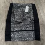 Lucy Paris  Elegant Black and Silver Skirt Photo 1