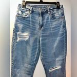 American Eagle  Ripped X-short Mom Jean Photo 1